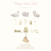 VINTAGE SWAN LAKE