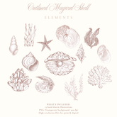 OUTLINED MAGICAL SHELL