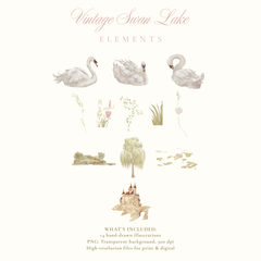 VINTAGE SWAN LAKE