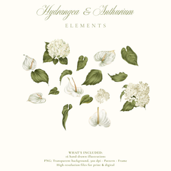 HYDRANGEA & ANTHURIUM