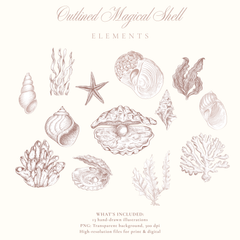 OUTLINED MAGICAL SHELL
