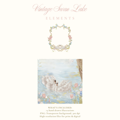 VINTAGE SWAN LAKE